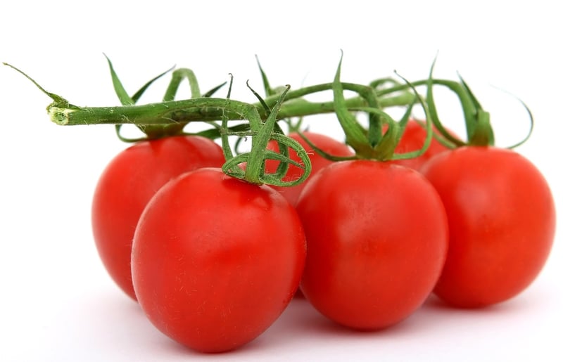 Indigenous Ingredients